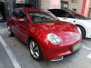 ORA Good Cat 2022 купить из Китая, цена 1 363 000 ₽ — Suifenhe Auto