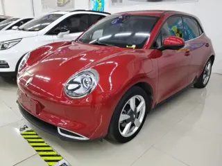 ORA Good Cat 2021 купить из Китая, цена 1 403 000 ₽ — Suifenhe Auto