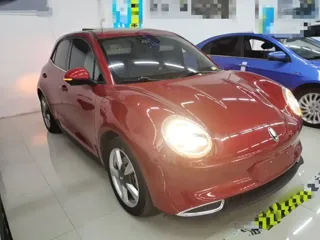 ORA Good Cat 2021 купить из Китая, цена 1 403 000 ₽ — Suifenhe Auto
