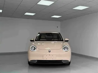 ORA Good Cat 2021 купить из Китая, цена 1 494 000 ₽ — Suifenhe Auto