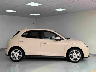 ORA Good Cat 2021 купить из Китая, цена 1 494 000 ₽ — Suifenhe Auto