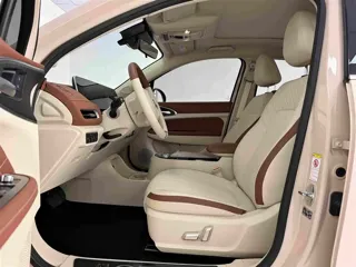 ORA Good Cat 2021 купить из Китая, цена 1 494 000 ₽ — Suifenhe Auto