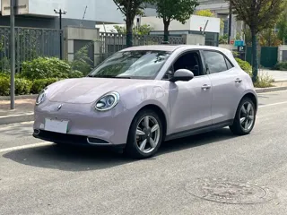 ORA Good Cat 2021 купить из Китая, цена 1 310 000 ₽ — Suifenhe Auto
