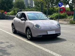 ORA Good Cat 2021 купить из Китая, цена 1 310 000 ₽ — Suifenhe Auto