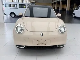 ORA Good Cat 2021 купить из Китая, цена 1 300 000 ₽ — Suifenhe Auto