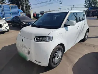 ORA White Cat 2021 купить из Китая, цена 1 094 000 ₽ — Suifenhe Auto