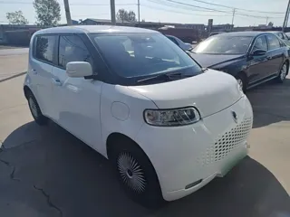 ORA White Cat 2021 купить из Китая, цена 1 094 000 ₽ — Suifenhe Auto