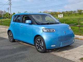 ORA White Cat 2021 купить из Китая, цена 960 000 ₽ — Suifenhe Auto