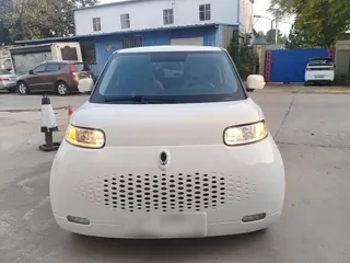 ORA White Cat 2020 купить из Китая, цена 952 000 ₽ — Suifenhe Auto