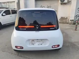 ORA White Cat 2020 купить из Китая, цена 952 000 ₽ — Suifenhe Auto