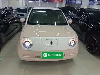 ORA Black Cat 2021 купить из Китая, цена 1 017 000 ₽ — Suifenhe Auto