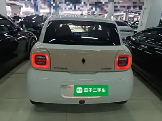 ORA Black Cat 2021 купить из Китая, цена 1 017 000 ₽ — Suifenhe Auto