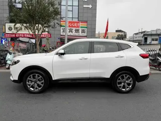 Haval H6 2021 купить из Китая, цена 1 472 000 ₽ — Suifenhe Auto