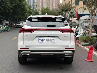 Haval H6 2021 купить из Китая, цена 1 472 000 ₽ — Suifenhe Auto