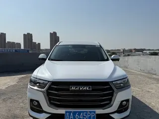 Haval H6 2021 купить из Китая, цена 1 485 000 ₽ — Suifenhe Auto