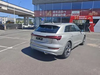 Audi e-tron 2025 купить из Китая, цена 6 018 000 ₽ — Suifenhe Auto