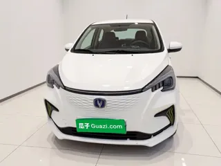 Changan Benben E-Star 2021 купить из Китая, цена 1 019 000 ₽ — Suifenhe Auto