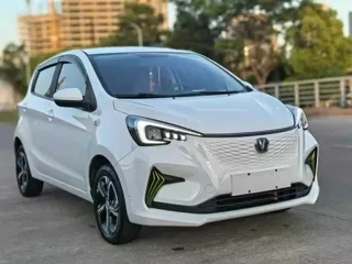 Changan Benben E-Star 2021 купить из Китая, цена 796 000 ₽ — Suifenhe Auto