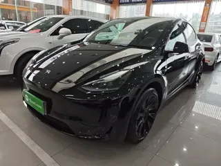 Tesla Model Y 2023 купить из Китая, цена 5 382 000 ₽ — Suifenhe Auto
