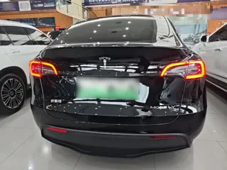 Tesla Model Y 2023 купить из Китая, цена 5 382 000 ₽ — Suifenhe Auto