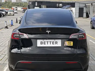Tesla Model Y 2023 купить из Китая, цена 5 209 000 ₽ — Suifenhe Auto