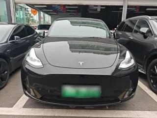 Tesla Model Y 2022 купить из Китая, цена 5 277 000 ₽ — Suifenhe Auto