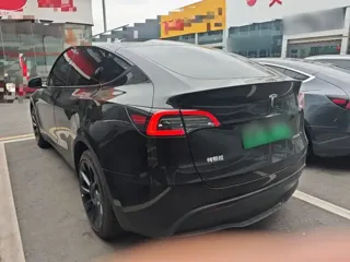 Tesla Model Y 2022 купить из Китая, цена 5 277 000 ₽ — Suifenhe Auto