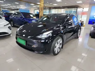Tesla Model Y 2023 купить из Китая, цена 5 312 000 ₽ — Suifenhe Auto