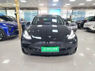 Tesla Model Y 2023 купить из Китая, цена 5 312 000 ₽ — Suifenhe Auto