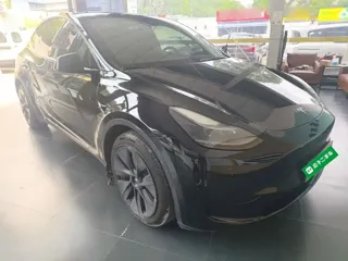 Tesla Model Y 2022 купить из Китая, цена 5 234 000 ₽ — Suifenhe Auto