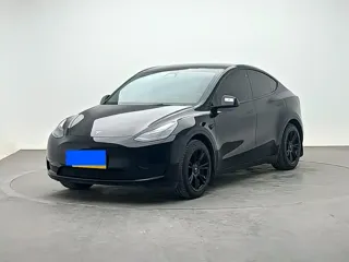 Tesla Model Y 2023 купить из Китая, цена 5 152 000 ₽ — Suifenhe Auto