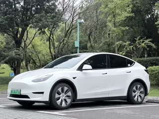 Tesla Model Y 2022 купить из Китая, цена 4 818 000 ₽ — Suifenhe Auto