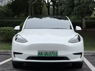 Tesla Model Y 2022 купить из Китая, цена 4 818 000 ₽ — Suifenhe Auto