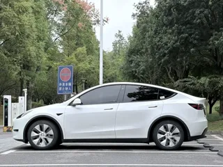 Tesla Model Y 2022 купить из Китая, цена 4 818 000 ₽ — Suifenhe Auto