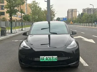 Tesla Model Y 2023 купить из Китая, цена 4 966 000 ₽ — Suifenhe Auto