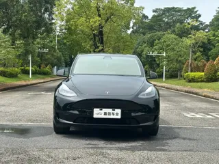 Tesla Model Y 2022 купить из Китая, цена 5 058 000 ₽ — Suifenhe Auto