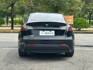 Tesla Model Y 2022 купить из Китая, цена 5 058 000 ₽ — Suifenhe Auto