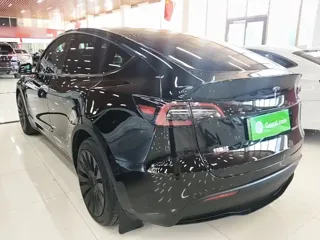 Tesla Model Y 2022 купить из Китая, цена 4 662 000 ₽ — Suifenhe Auto