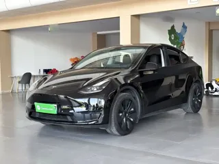 Tesla Model Y 2023 купить из Китая, цена 5 067 000 ₽ — Suifenhe Auto