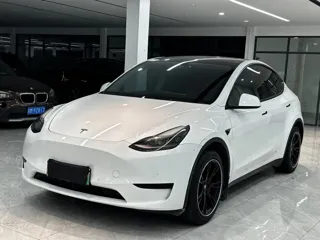 Tesla Model Y 2022 купить из Китая, цена 4 653 000 ₽ — Suifenhe Auto