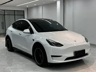 Tesla Model Y 2022 купить из Китая, цена 4 653 000 ₽ — Suifenhe Auto