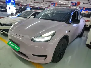 Tesla Model Y 2023 купить из Китая, цена 5 264 000 ₽ — Suifenhe Auto