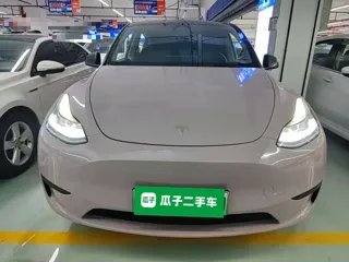 Tesla Model Y 2023 купить из Китая, цена 5 264 000 ₽ — Suifenhe Auto
