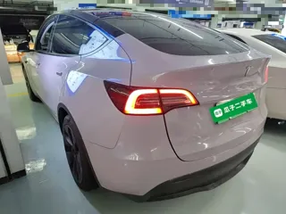 Tesla Model Y 2023 купить из Китая, цена 5 264 000 ₽ — Suifenhe Auto