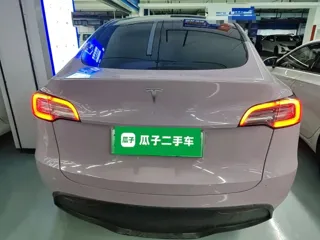 Tesla Model Y 2023 купить из Китая, цена 5 264 000 ₽ — Suifenhe Auto