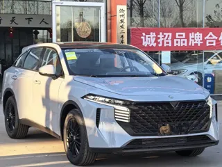 Venucia Da V 2024 купить из Китая, цена 2 525 000 ₽ — Suifenhe Auto