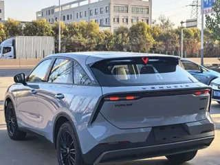 Venucia Da V 2024 купить из Китая, цена 2 525 000 ₽ — Suifenhe Auto