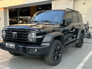 Tank 300 2024 купить из Китая, цена 4 338 000 ₽ — Suifenhe Auto