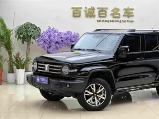 Tank 300 2024 купить из Китая, цена 4 595 000 ₽ — Suifenhe Auto