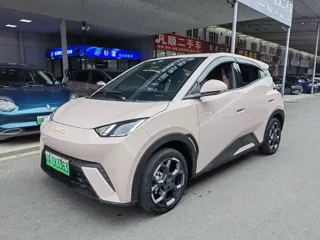 BYD Seagull 2024 купить из Китая, цена 1 308 000 ₽ — Suifenhe Auto